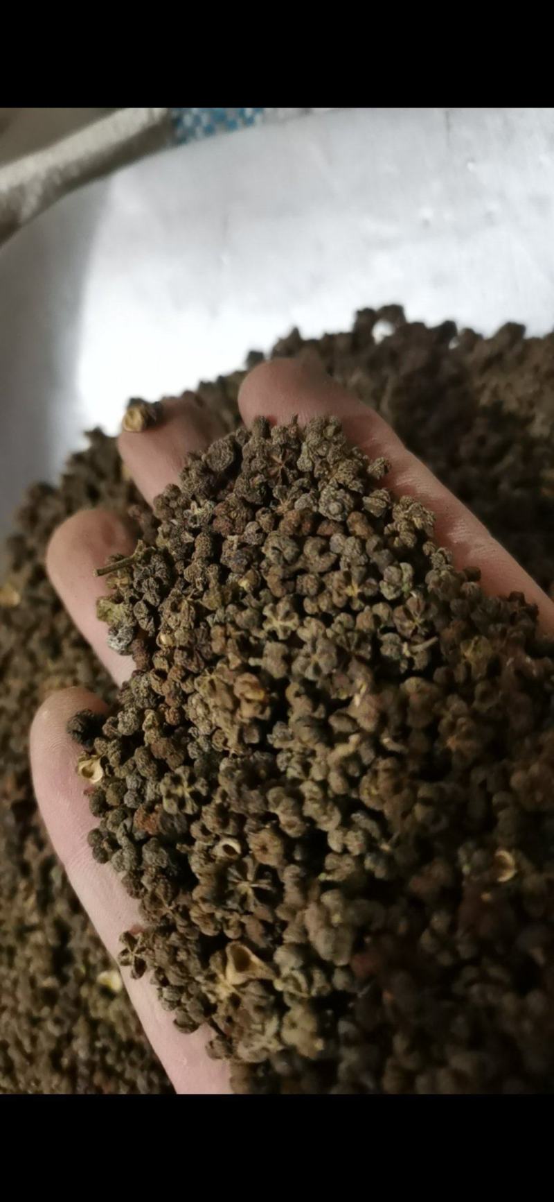 吴茱萸各种规格中花吴茱萸批发零售各种中药