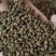 吴茱萸精品吴茱萸小花批发零售各种中药材