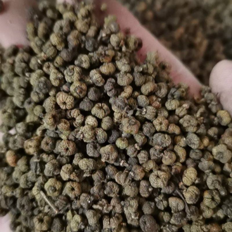吴茱萸精品吴茱萸小花批发零售各种中药材