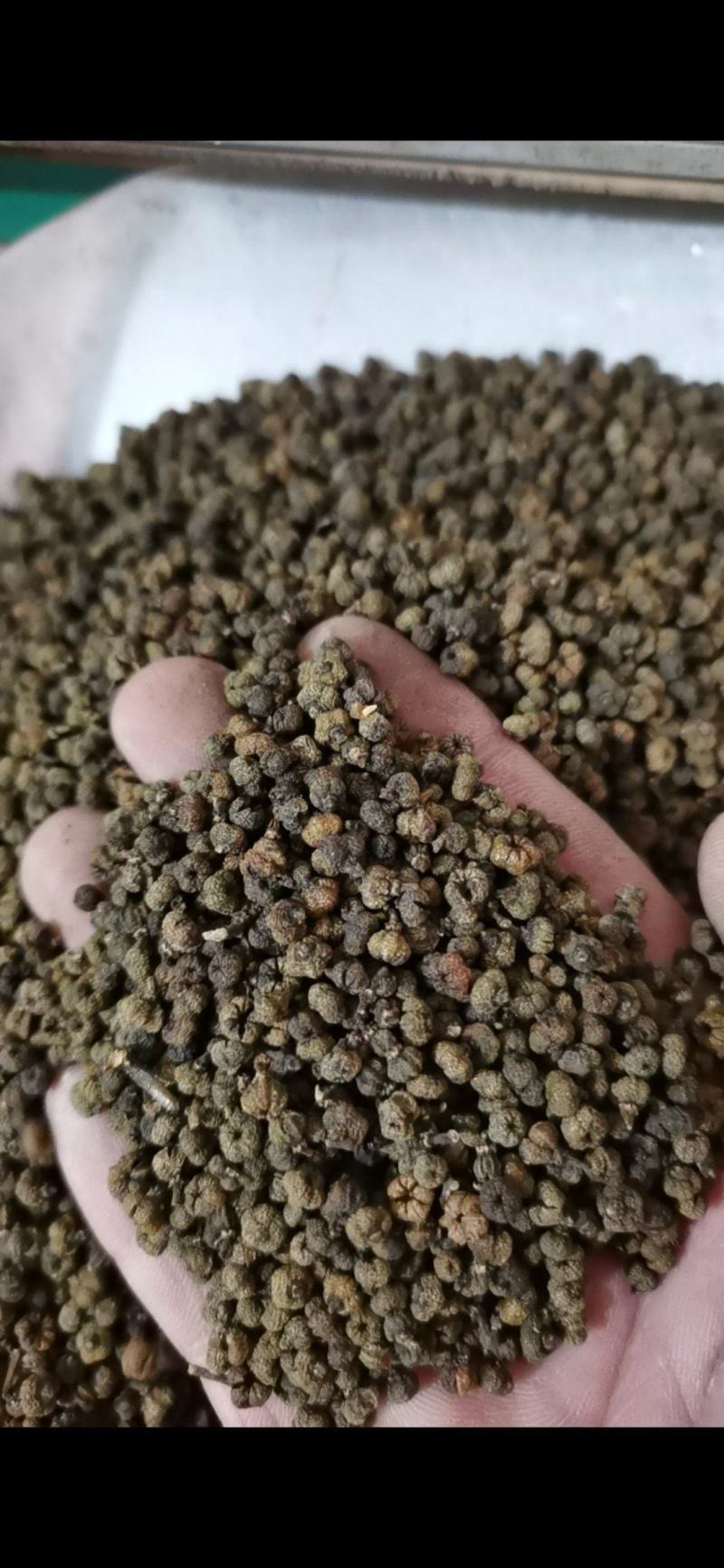 吴茱萸精品吴茱萸小花批发零售各种中药材