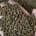 吴茱萸精品吴茱萸小花批发零售各种中药材