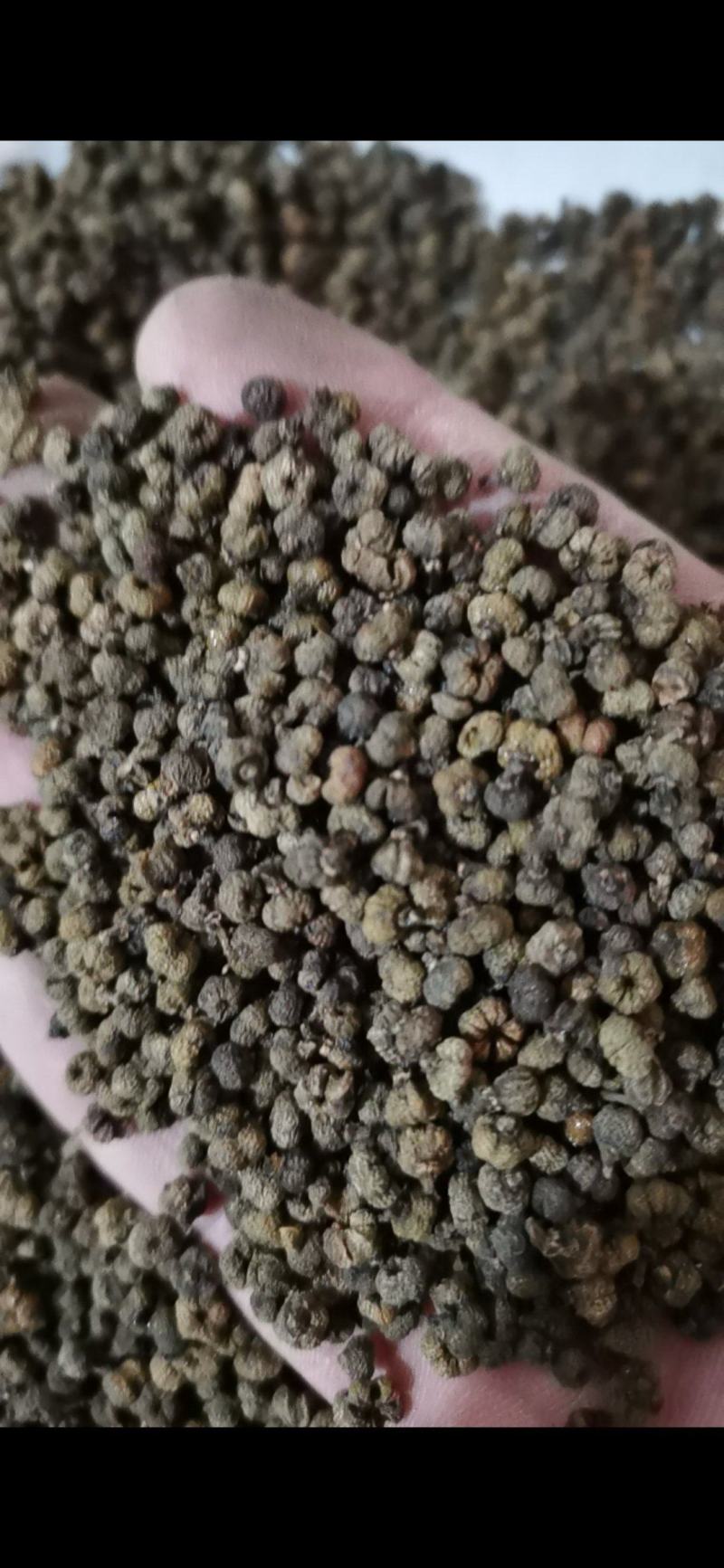 吴茱萸精品吴茱萸小花批发零售各种中药材