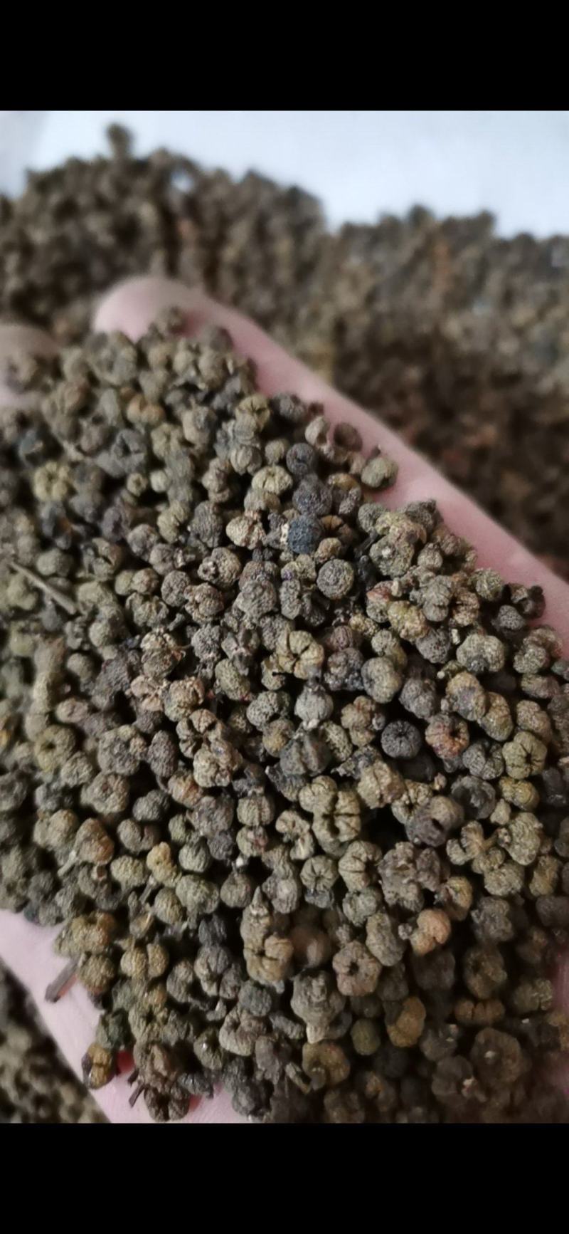吴茱萸精品吴茱萸小花批发零售各种中药材
