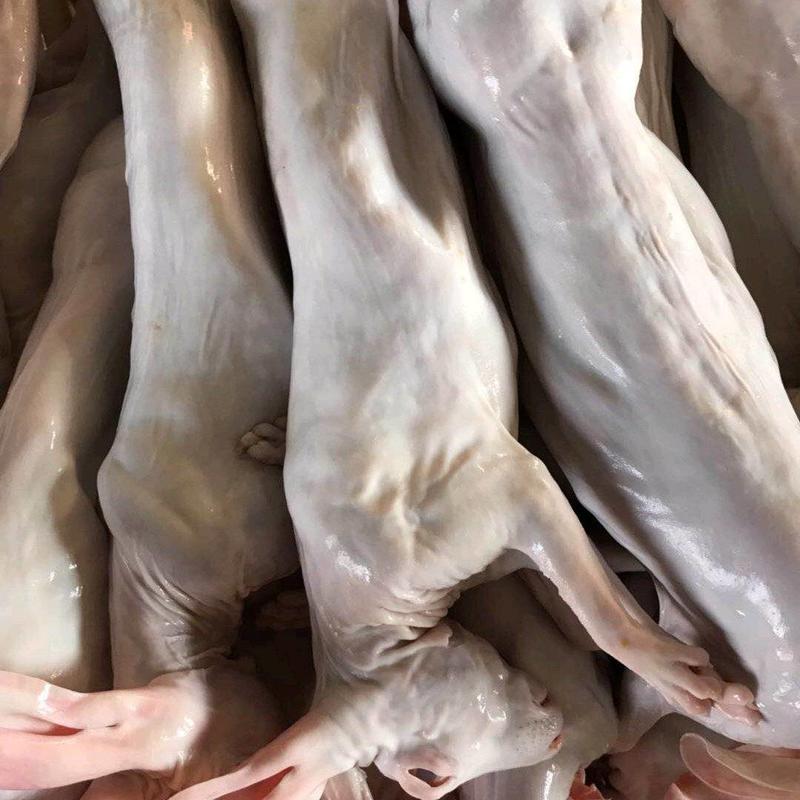 包邮带皮兔肉鲜兔肉干锅红烧可订制厂家直发全国发货