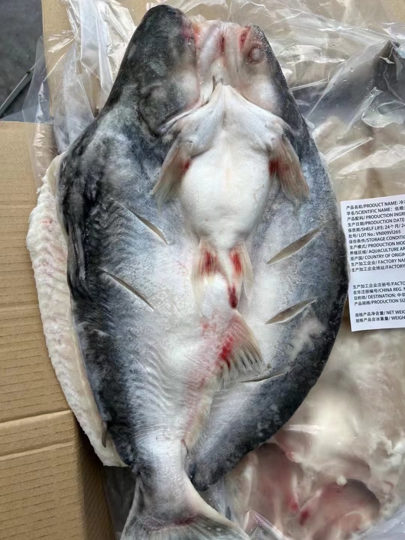 开背湄公鱼/巴沙鱼，一手货源，工厂直销