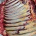 【牛排】草原放养黄牛肉排，精品五斤装、整扇的都有，手续全
