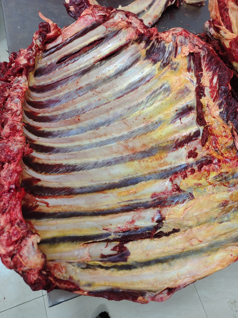 【牛排】草原放养黄牛肉排，精品五斤装、整扇的都有，手续全