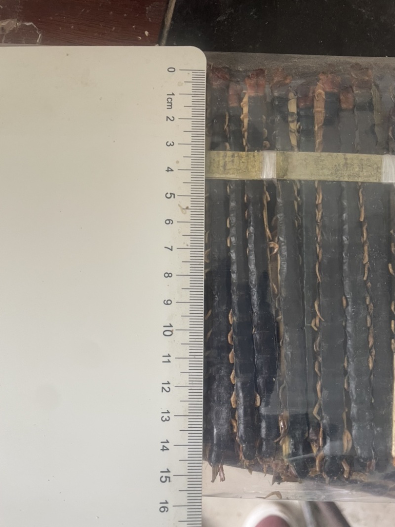 蜈蚣中药干蜈蚣实物拍摄蜈蚣正品