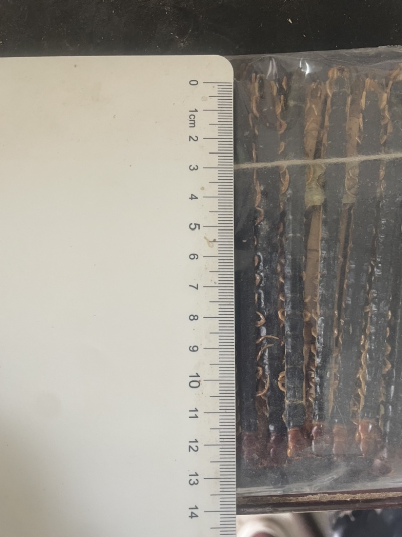蜈蚣中药干蜈蚣实物拍摄蜈蚣正品