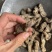 生地无硫生地个生地黄个生地片有个有片生地黄片实拍