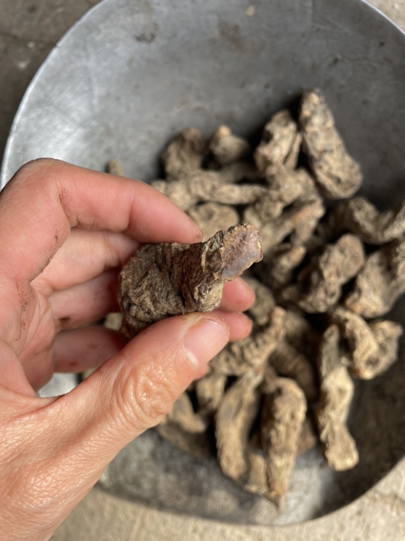 生地无硫生地个生地黄个生地片有个有片生地黄片实拍