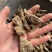 生地无硫生地个生地黄个生地片有个有片生地黄片实拍