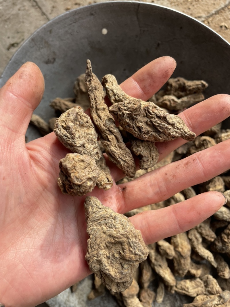 生地无硫生地个生地黄个生地片有个有片生地黄片实拍