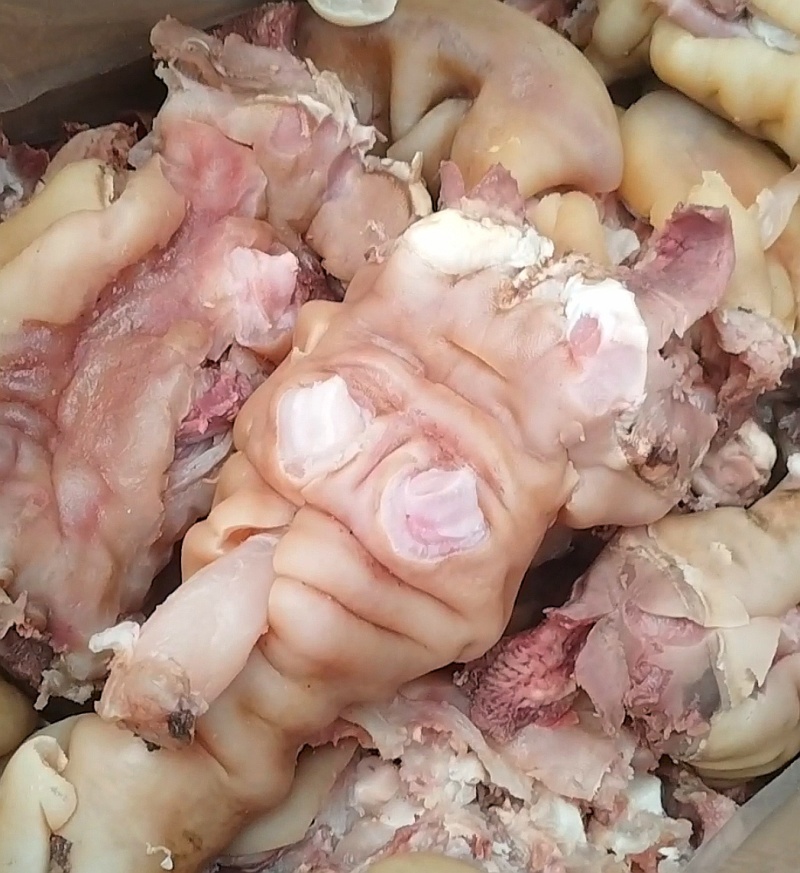 精品牛蹄筋火烧褪毛一手货源焦作基地直供量大优惠