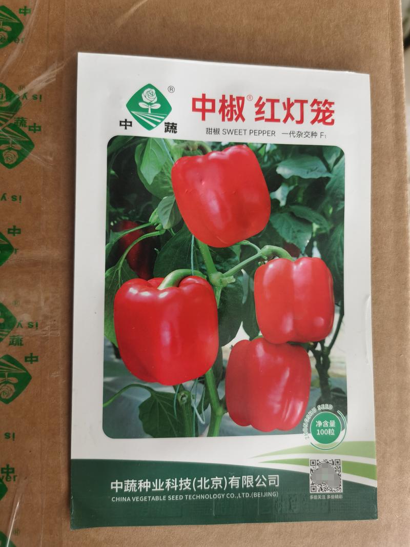 彩椒种子红黄皮甜椒籽杂交产量高中蔬黄灯笼椒春秋种植