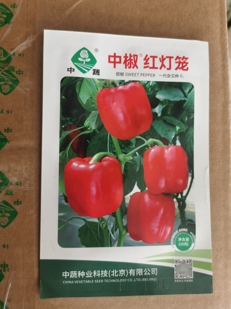 彩椒种子黄甜椒籽红甜椒杂交产量高灯笼椒春秋种植