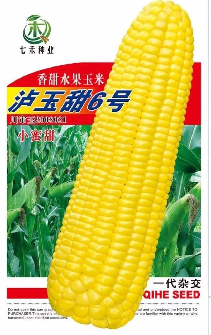 甜玉米种子冰糖玉米香甜水果玉米大穗型口感好春夏秋多用