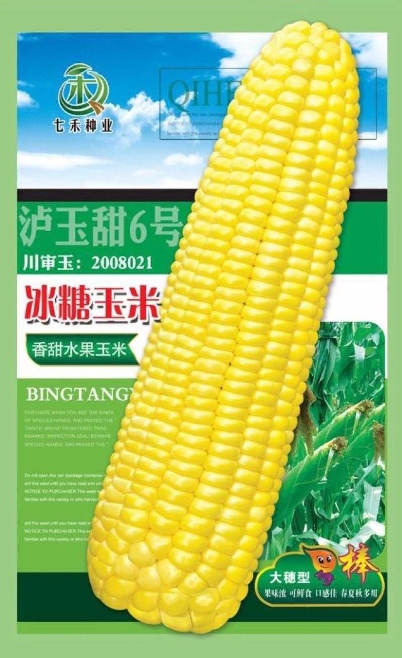 甜玉米种子冰糖玉米香甜水果玉米大穗型口感好春夏秋多用