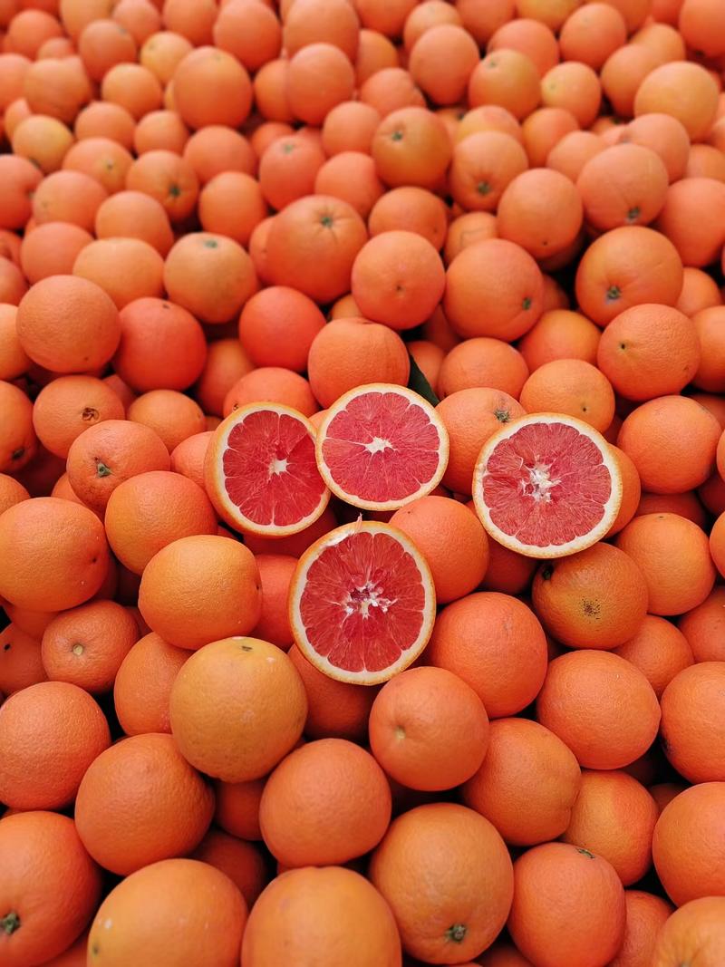湖北中华红血橙红心橙子产地供应，按需采摘整车代收代发