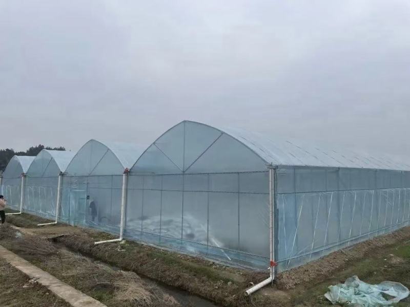 32热镀锌钢管蔬菜大棚管全国发货批发销售