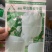 2~8公斤小型早熟粉皮冬瓜早生粉皮冬瓜肉嫩味鲜上市早