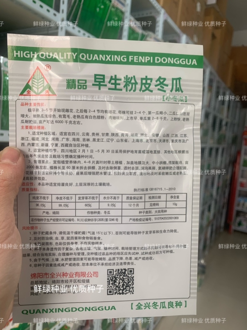 2~8公斤小型早熟粉皮冬瓜早生粉皮冬瓜肉嫩味鲜上市早