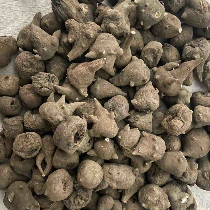 天雄保真保量包邮1公斤也是批发炮附子