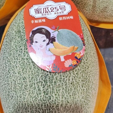【实力】海南哈密瓜晓蜜25，全国整车走货，保质保量