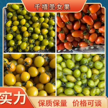 【精品圣女果】千禧圣女果水果小番茄辽宁产地直供质量保证