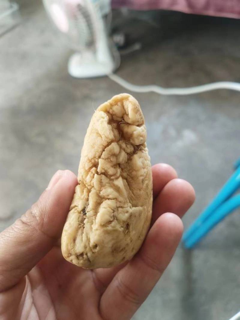 鸡宝