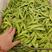 豌豆荚豆小金豆大量上市全国各地发货价格便宜需要的老板欢迎