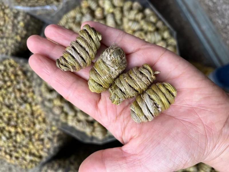 【包邮】霍山铁皮石斛批发石斛中药材天然野生正宗铁皮石斛