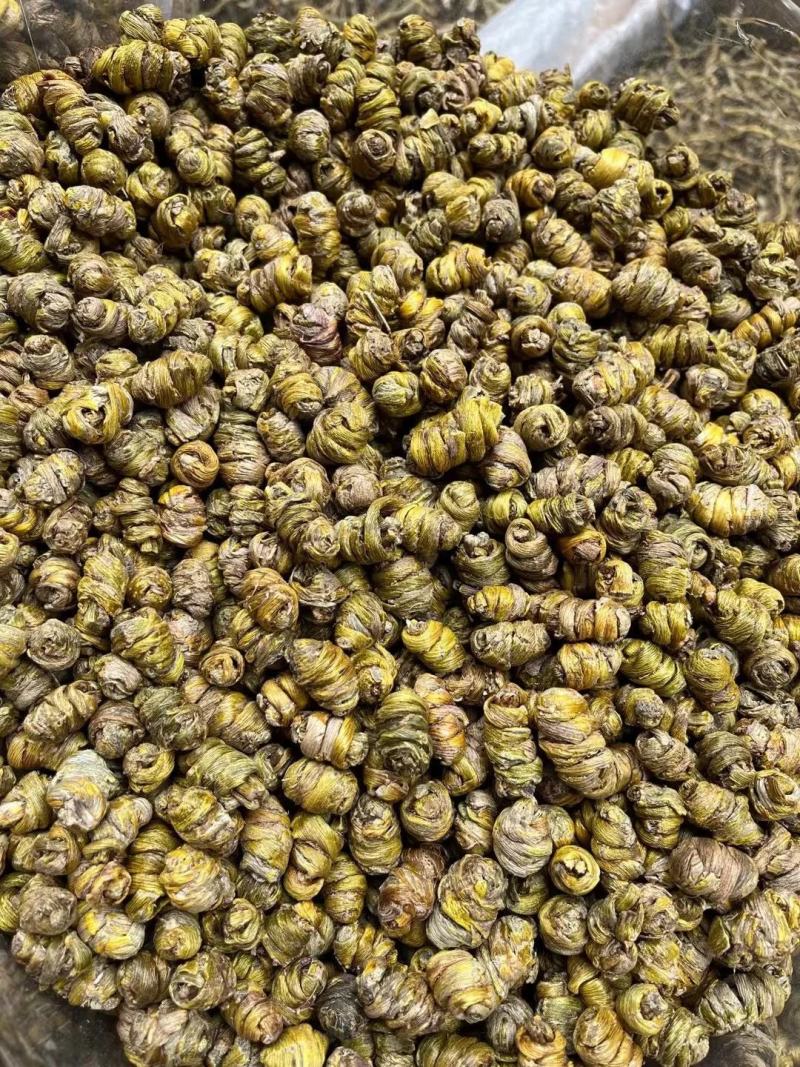【包邮】霍山铁皮石斛批发石斛中药材天然野生正宗铁皮石斛