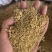 炒谷芽谷芽保庆药业炒谷芽生谷芽谷芽正品