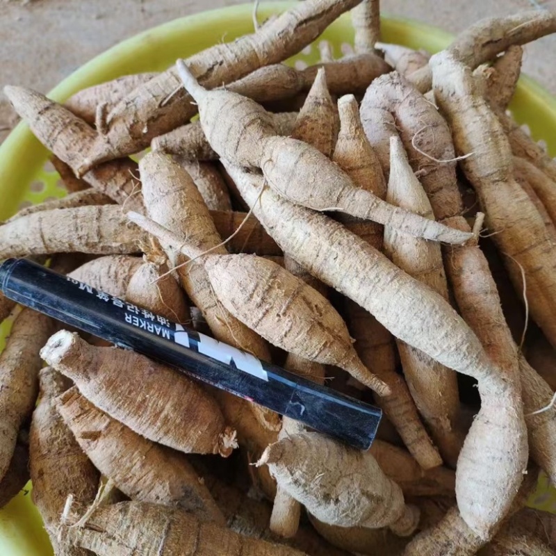 圆牛，牛大力鲜货，产地源头，基地直发，产地优势