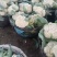 精品菜花松花菜产地直发品质保证量大从优一手货源