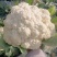 精品菜花松花菜产地直发品质保证量大从优一手货源
