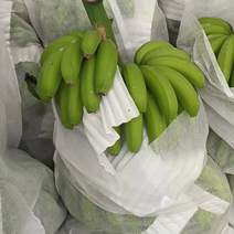 精品香蕉大量上市，货源充足，产地直发价格