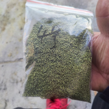 孜然碎孜然粉孜然半粒孜然孜然半碎辅料
