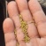 孜然碎孜然粉孜然半粒孜然孜然半碎辅料