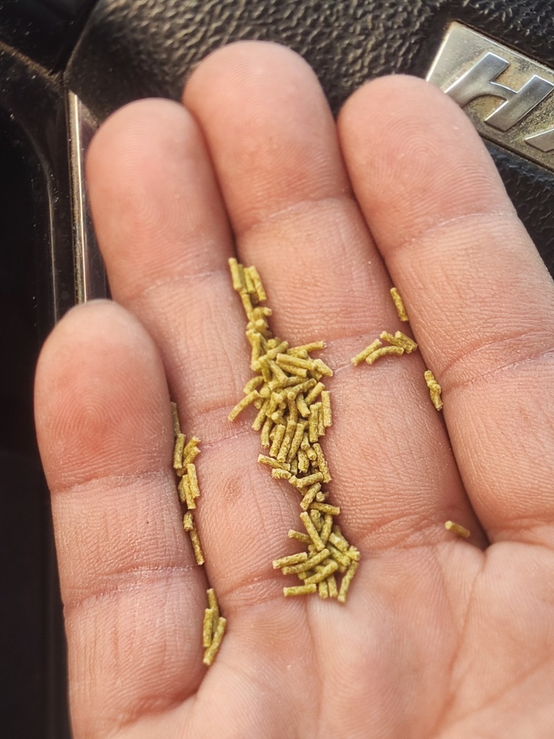 孜然碎孜然粉孜然半粒孜然孜然半碎辅料
