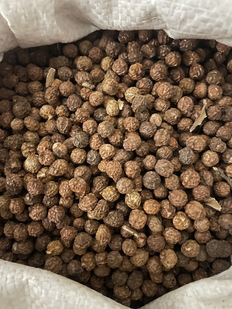 梧桐子保真保量一斤也是批发价包邮货源充足