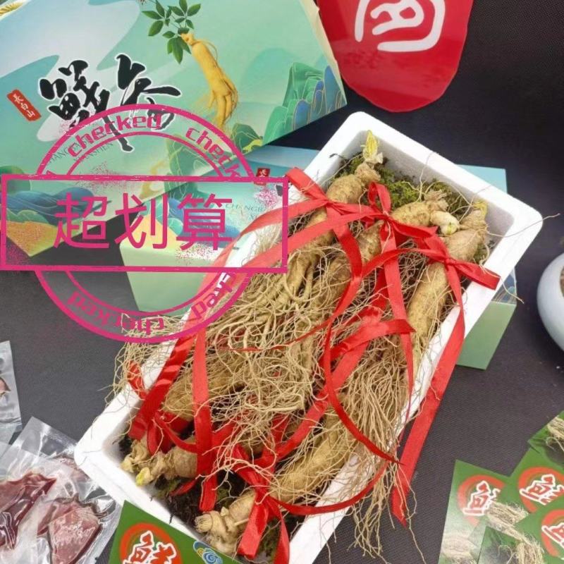 长白山鲜人参抖快代发包邮一手批发多规格