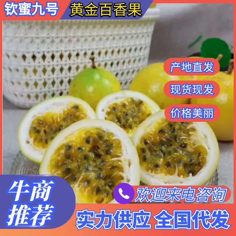 黄金百香果钦蜜九号纯甜平台电商市场代发供货日供五万斤