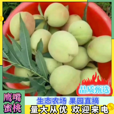 江西鹰嘴桃基地直发微商电商社区团购稳定供应支持一件