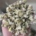 药用菊花贡菊菊河北菊花保庆药业实物拍摄