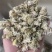 药用菊花贡菊菊河北菊花保庆药业实物拍摄