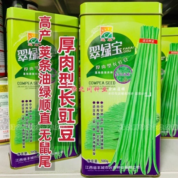 油亮翠绿条长豆角种子江西翠绿宝豇豆种子长条荚不鼓籽春夏秋