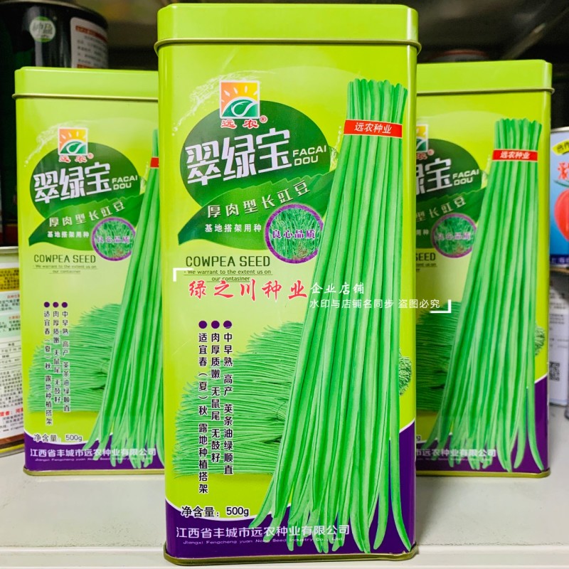 油亮翠绿条长豆角种子江西翠绿宝豇豆种子长条荚不鼓籽春夏秋