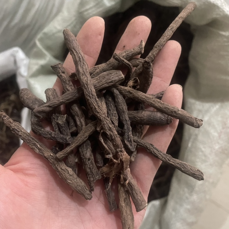 仙茅仙毛独脚仙茅保庆药材批发仙茅发货如图实拍